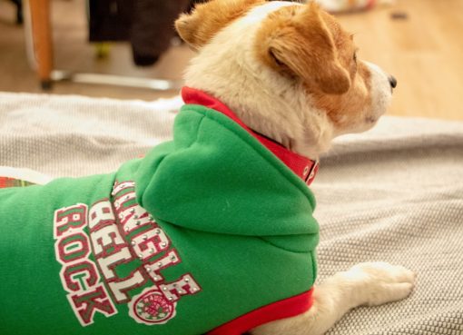 Photo Christmas sweater